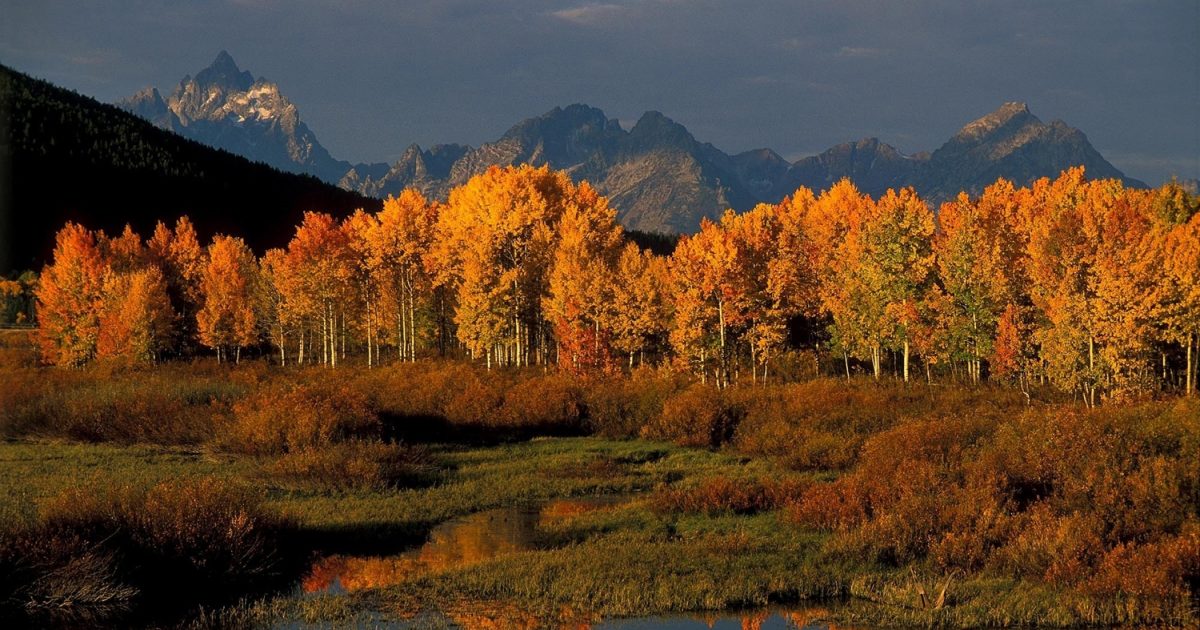 9 Things to Do in Grand Teton National Park This Fall - Jackson Hole ...