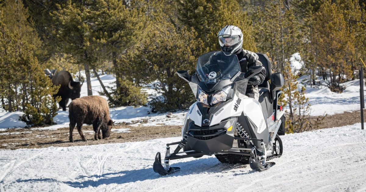 safari snowmobile jackson